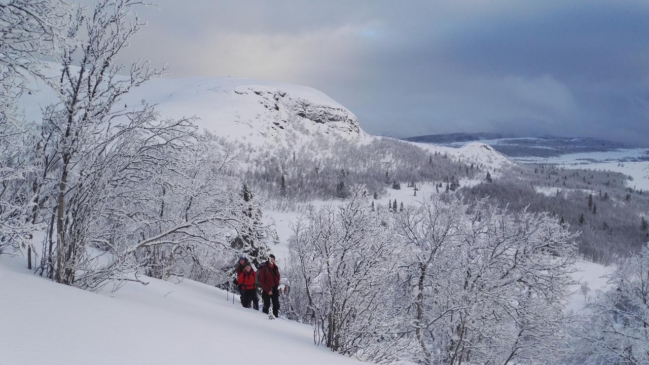 Hotel Strand Fjellstue à Espedalen Extérieur photo