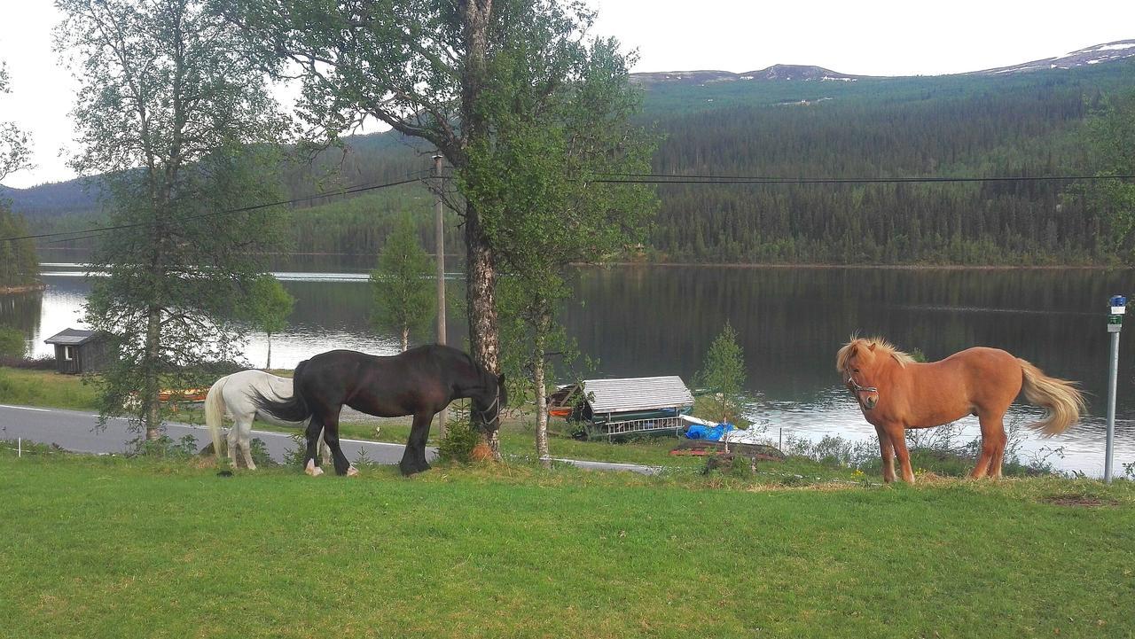 Hotel Strand Fjellstue à Espedalen Extérieur photo